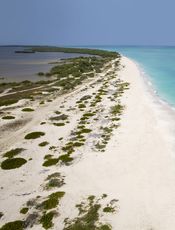 Costa mujeres